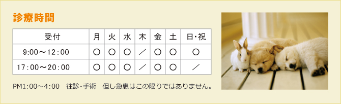診療時間 診療時間